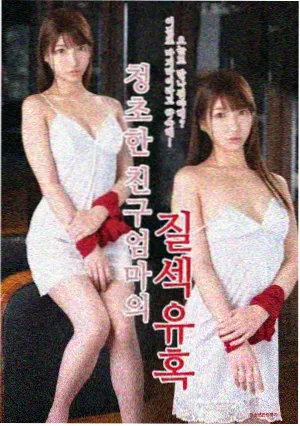 编辑精选《雾中来信》封面缩略图