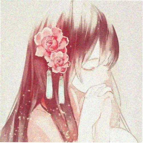 观众阿禾的头像
